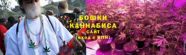 СК Арсеньев