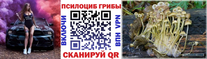 Галлюциногенные грибы Magic Shrooms  Опочка 